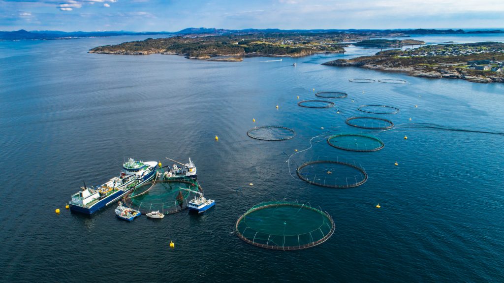 Fisheries & Commercial Fishing